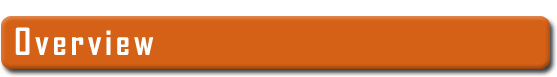 Overview