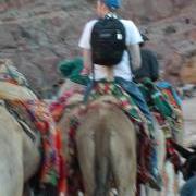 Jordan on camel in Petra